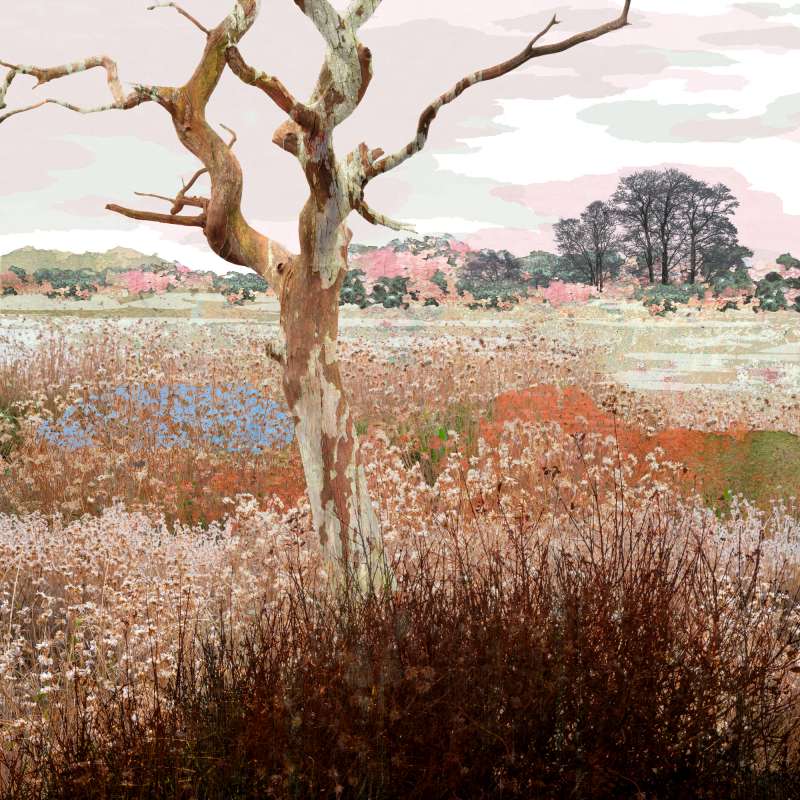 Treescape 7