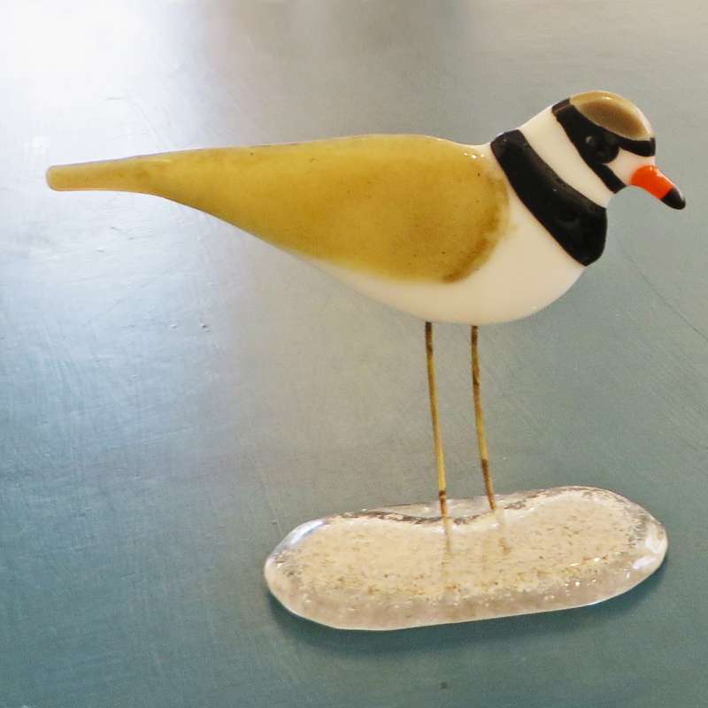 Plover
