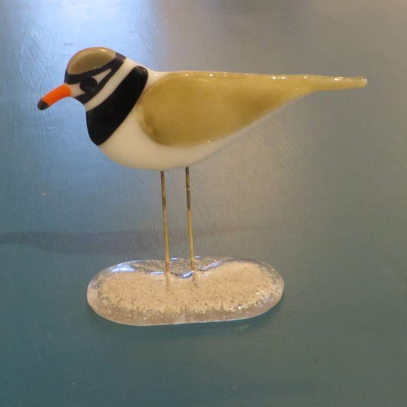 Plover