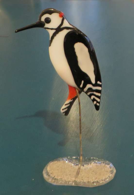Woodpecker